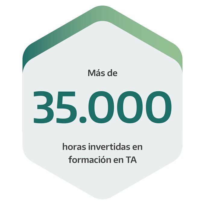 Formación y formación continua