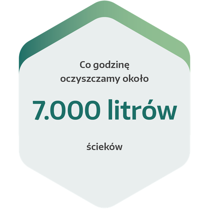 Wymiennik jonowy i osad filtracyjny