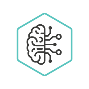 Complete Connectivity